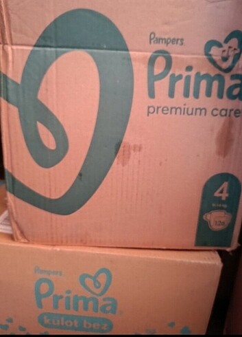 Prima Prima 4 numara 126 adet