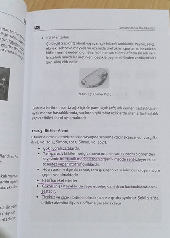 Çevre Eğitimi Kitabı - Gamze Hastürk Anı - Görsel 3