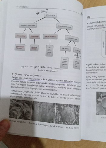 Çevre Eğitimi Kitabı - Gamze Hastürk Anı - Görsel 4