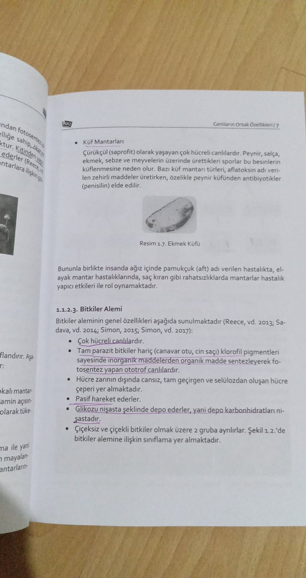 Çevre Eğitimi Kitabı - Gamze Hastürk Anı - Görsel 3