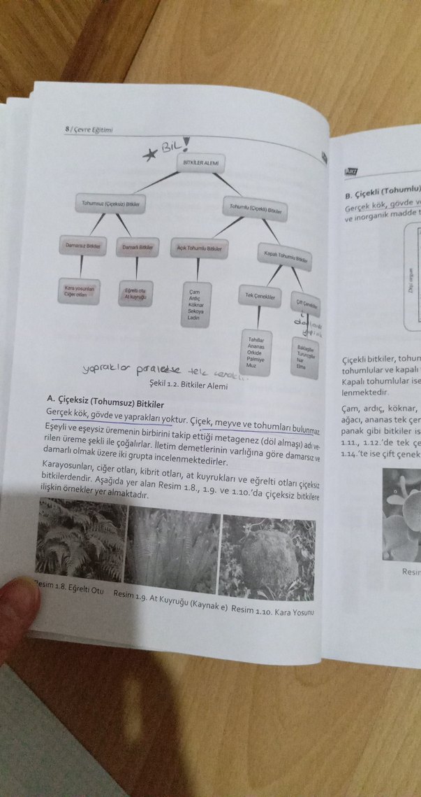 Çevre Eğitimi Kitabı - Gamze Hastürk Anı - Görsel 4