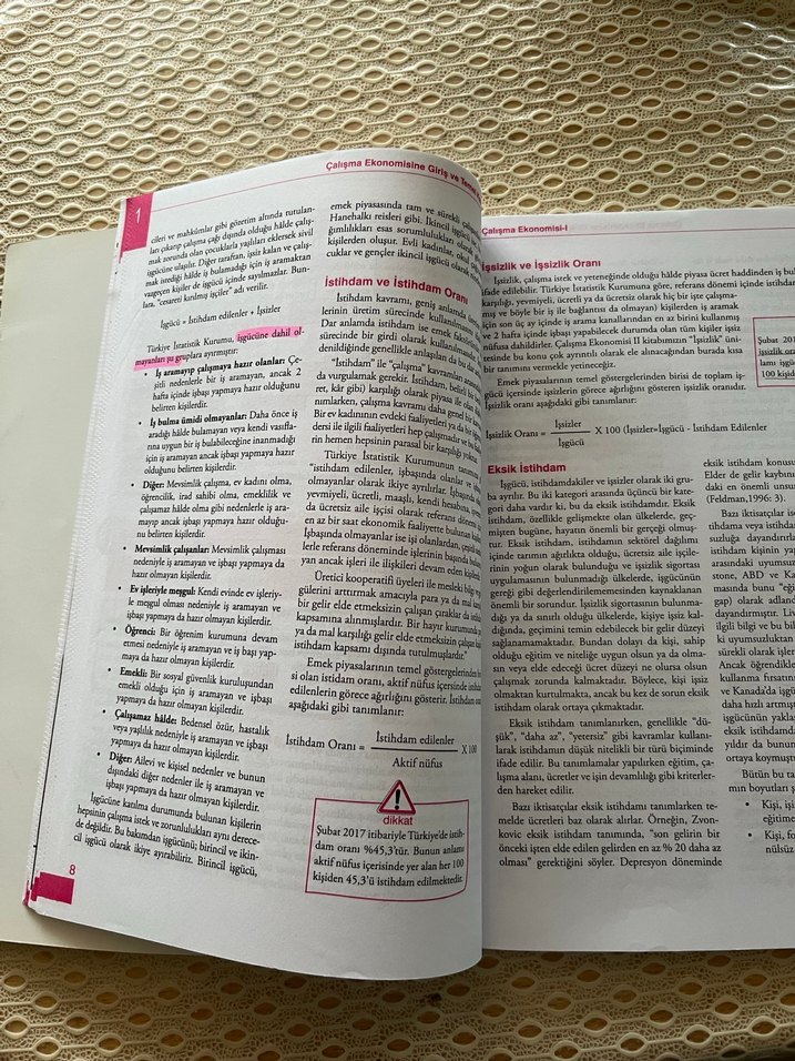 Anadolu Üniversitesi Çalışma Ekonomisi - Görsel 3