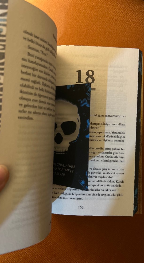 Işıklar Söndüğünde - Navessa Allen - Görsel 2