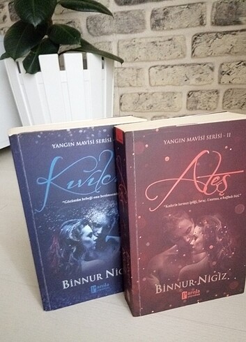 Yangın Mavisi Serisi 1. ve 2.kitabı ~Binnur Nigiz Şafak