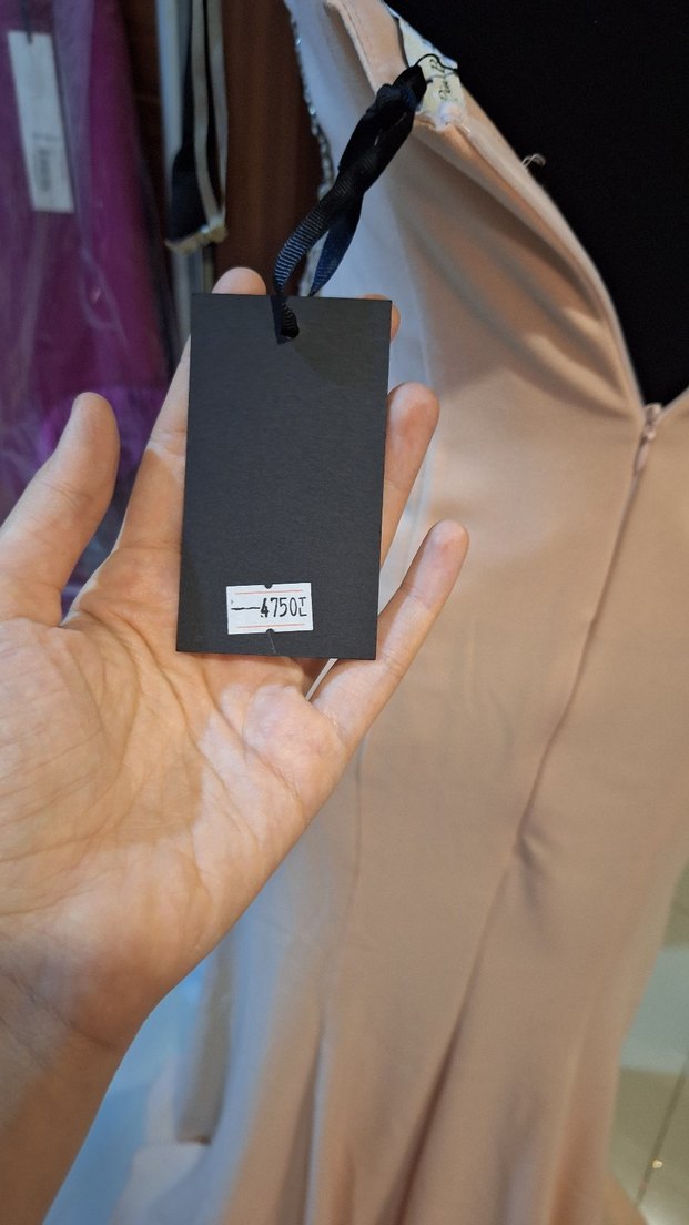 İşlemeli Bej Uzun Abiye Elbise - Görsel 5