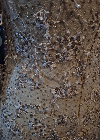 Bej Uzun Kollu Dantel İşlemeli Abiye Elbise - Görsel 5