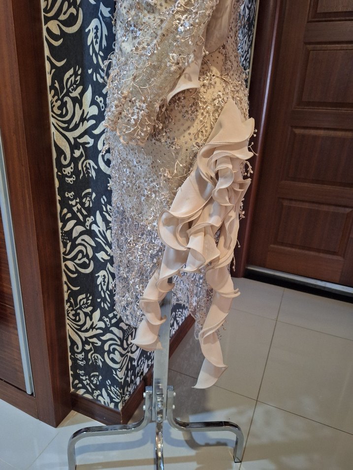 Bej Uzun Kollu Dantel İşlemeli Abiye Elbise - Görsel 4