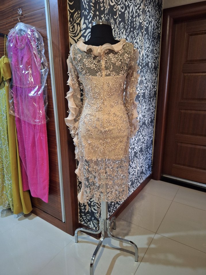 Bej Uzun Kollu Dantel İşlemeli Abiye Elbise - Görsel 3