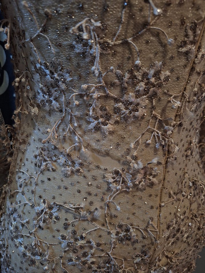 Bej Uzun Kollu Dantel İşlemeli Abiye Elbise - Görsel 5