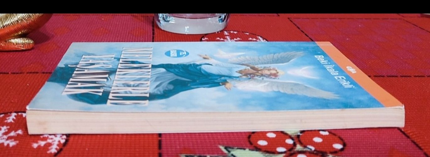 Meleklerle Yaşamak - Beki İkala Erikli - Görsel 2