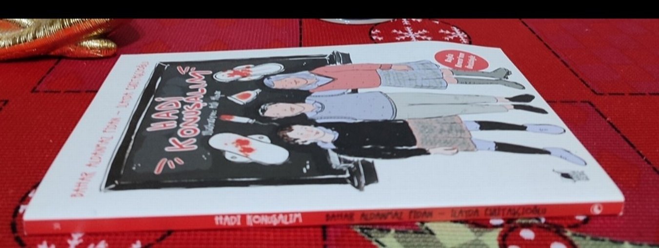 Hadi Konuşalım - Bahar Aldanmaz Fidan ve İlayda Eskitaşcıoğlu - Görsel 2