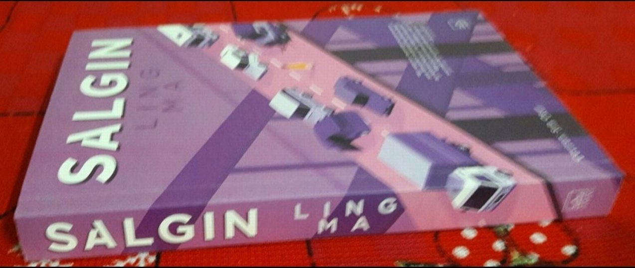 Ling Ma - Salgın - Görsel 2