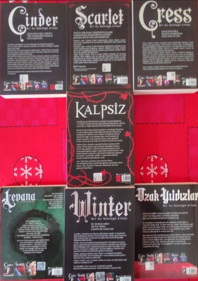 Marissa Meyer - Bir Ay Günlüğü Serisi - Görsel 4