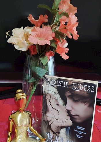 Balans - Christie Silvers - Görsel 3