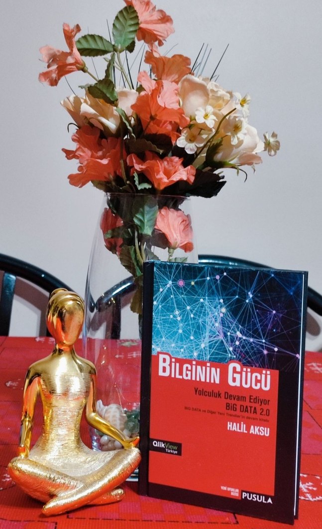 Bilginin Gücü BiG DATA 2.0 Kitabı - Görsel 3