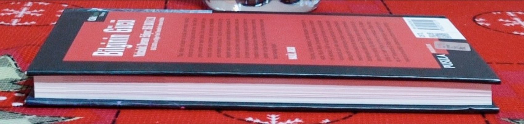 Bilginin Gücü BiG DATA 2.0 Kitabı - Görsel 4