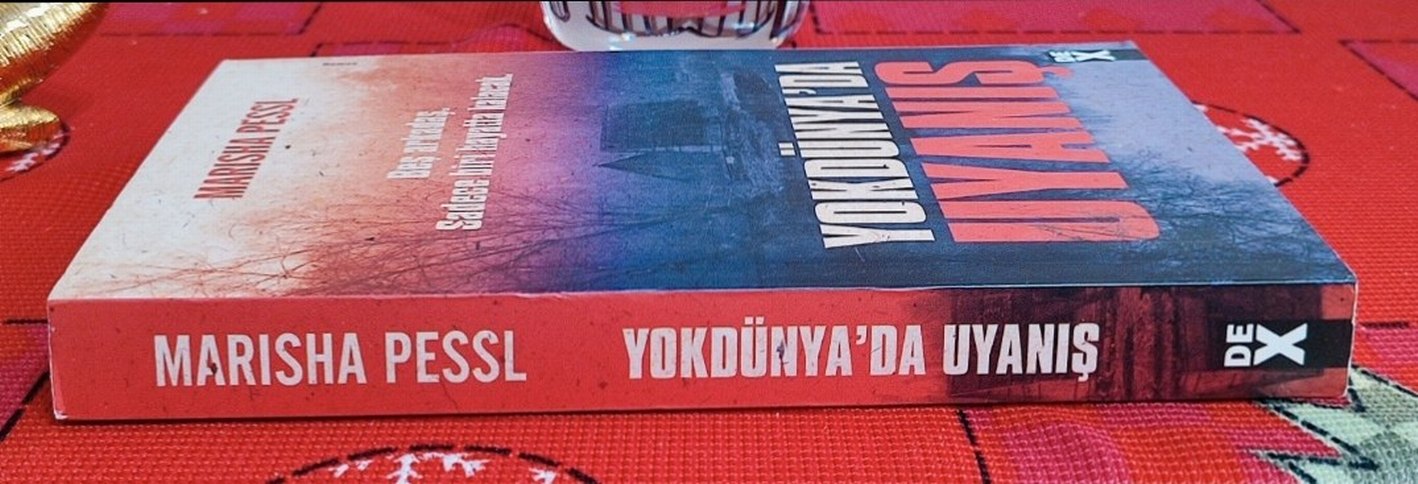 Yokdünya'da Uyanış - Marisha Pessl - Görsel 2