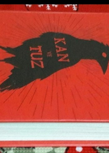 Kim Liggett - Kan ve Tuz - Görsel 3