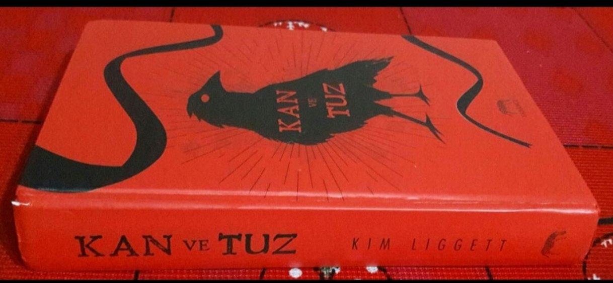 Kim Liggett - Kan ve Tuz - Görsel 2