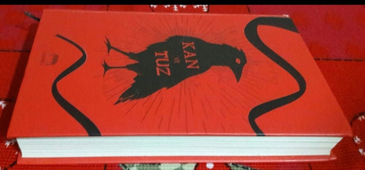 Kim Liggett - Kan ve Tuz - Görsel 3