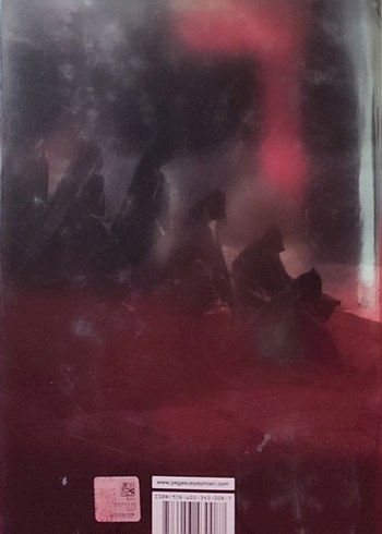 Becca Fitzpatrick - Sessizlik Serisi 4 Kitap - Görsel 8