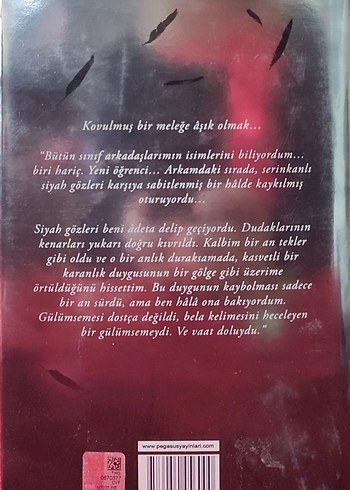 Becca Fitzpatrick - Sessizlik Serisi 4 Kitap - Görsel 5