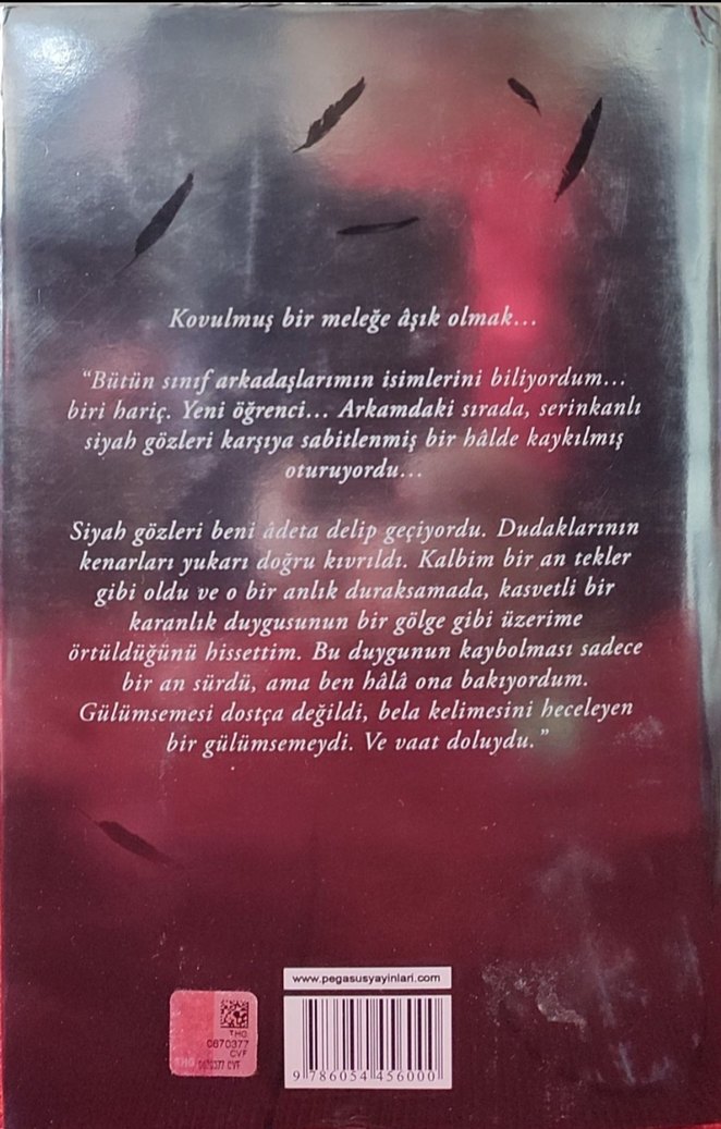 Becca Fitzpatrick - Sessizlik Serisi 4 Kitap - Görsel 5