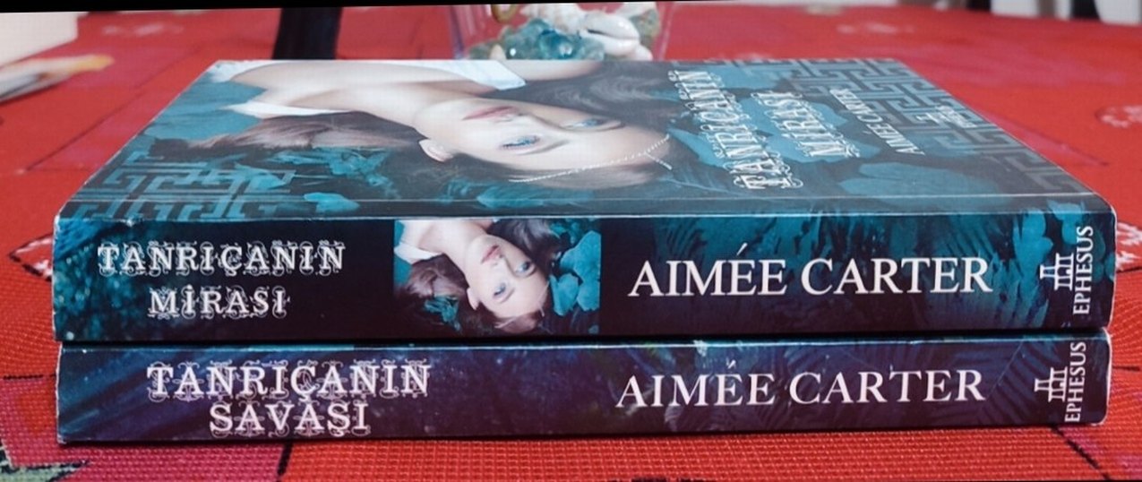 Aimee Carter Kitapları - Görsel 2