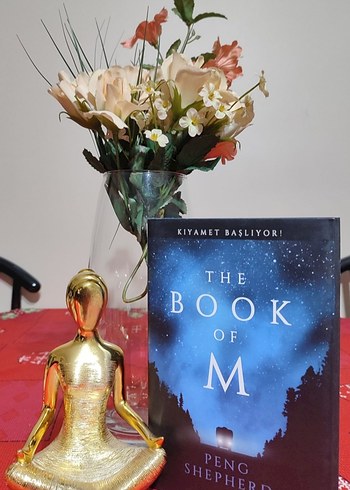 The Book of M - Peng Shepherd - Görsel 5