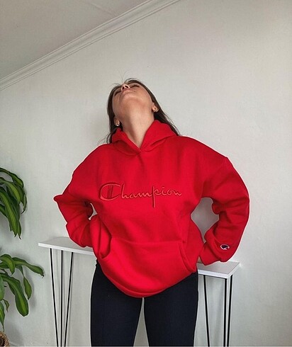 Champions Sweatshirt