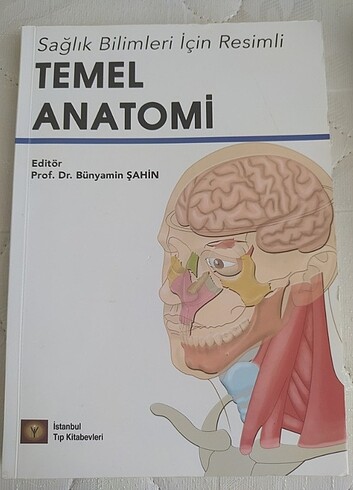 Anatomi 
