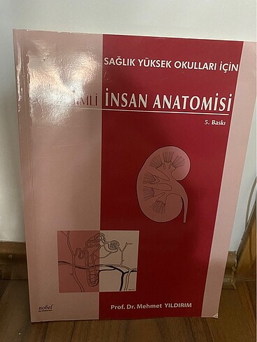 Resimli İnsan Anatomisi