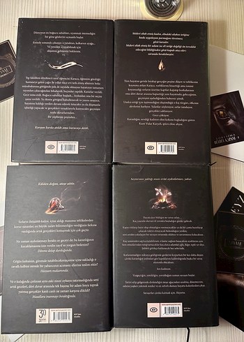 Siyam Roman Serisi - Beyza Aksoy - Görsel 3