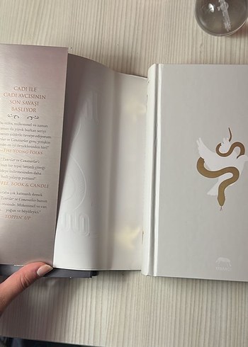 Yılan ve Güvercin serisi - Görsel 8