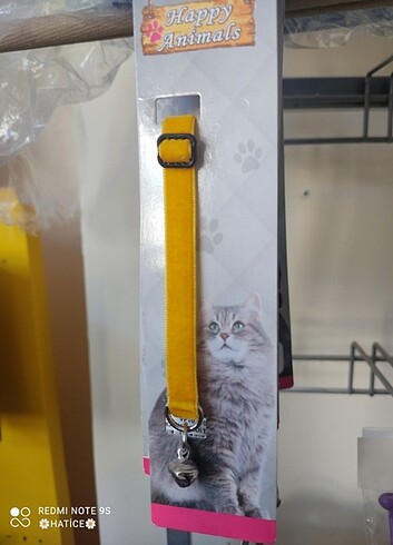 Kedi taşması her renk var