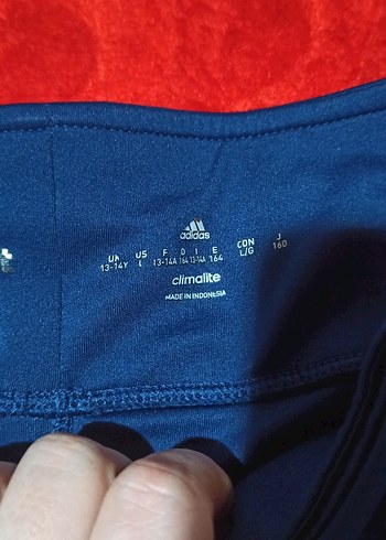 Kadın Mavi Yılan Desenli Spor Tayt - Görsel 4