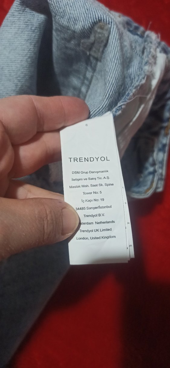 Yırtık Detaylı Kadın Kot Şort - Görsel 2