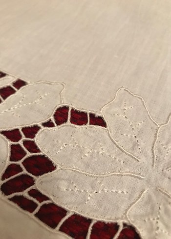 Beyaz İş Örtü - Görsel 3