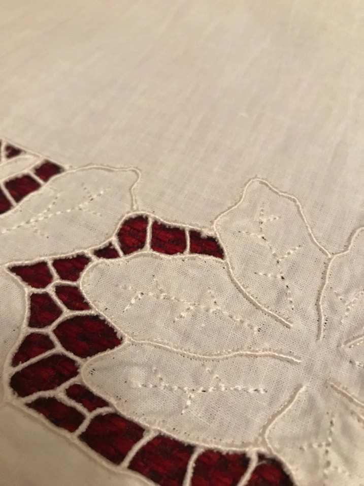 Beyaz İş Örtü - Görsel 3