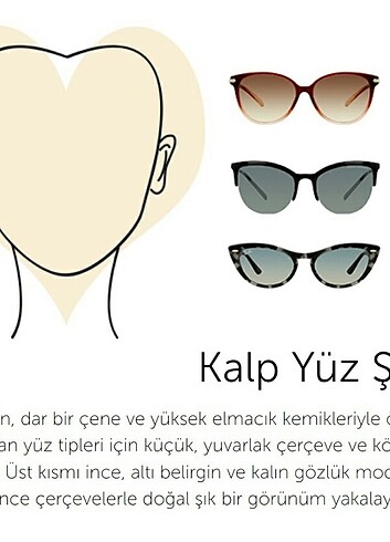  Beden altın Renk Aqua Di Polo Basic Altın Erkek Güneş Gözlüğü