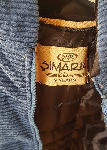 Parlak Mavi Erkek Çocuk Fermuarlı Yelek - Görsel 3