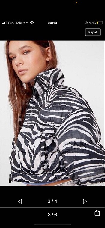 bershka zebra mont