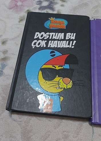  Beden Renk Kral şakır kitap