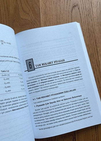 Mikroekonomi Teorisi Kitabı Prof. Dr. Tümay Ertek - Görsel 4