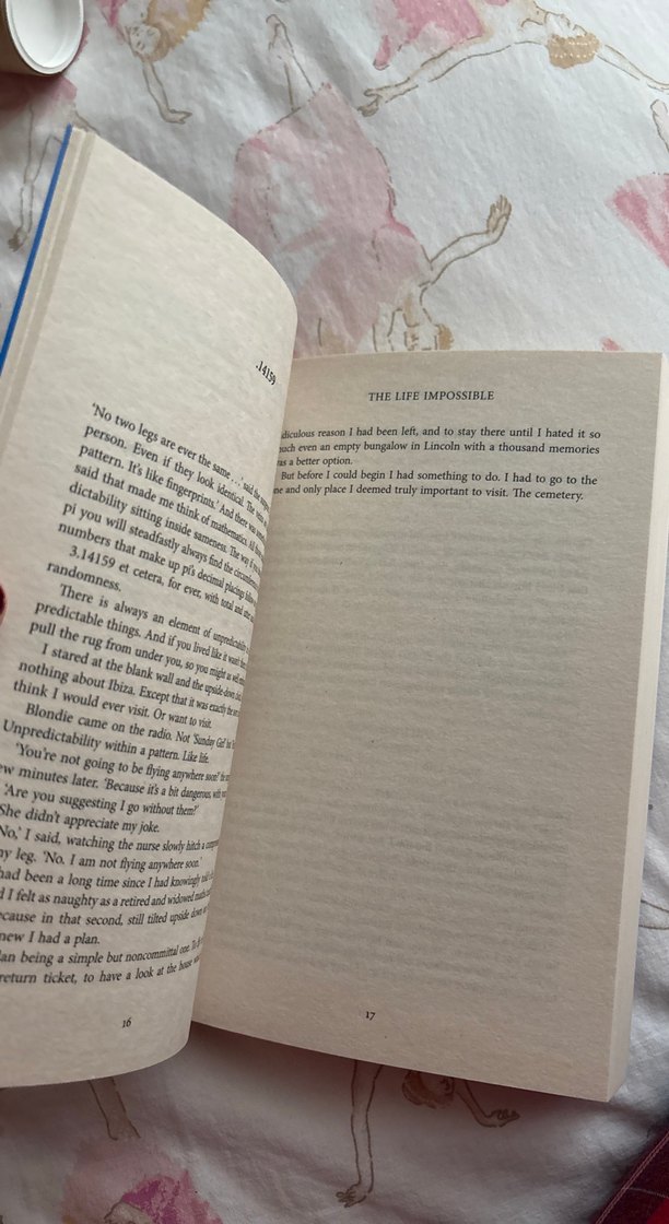 Matt Haig - The Life Impossible İngilizce kitap - Görsel 3