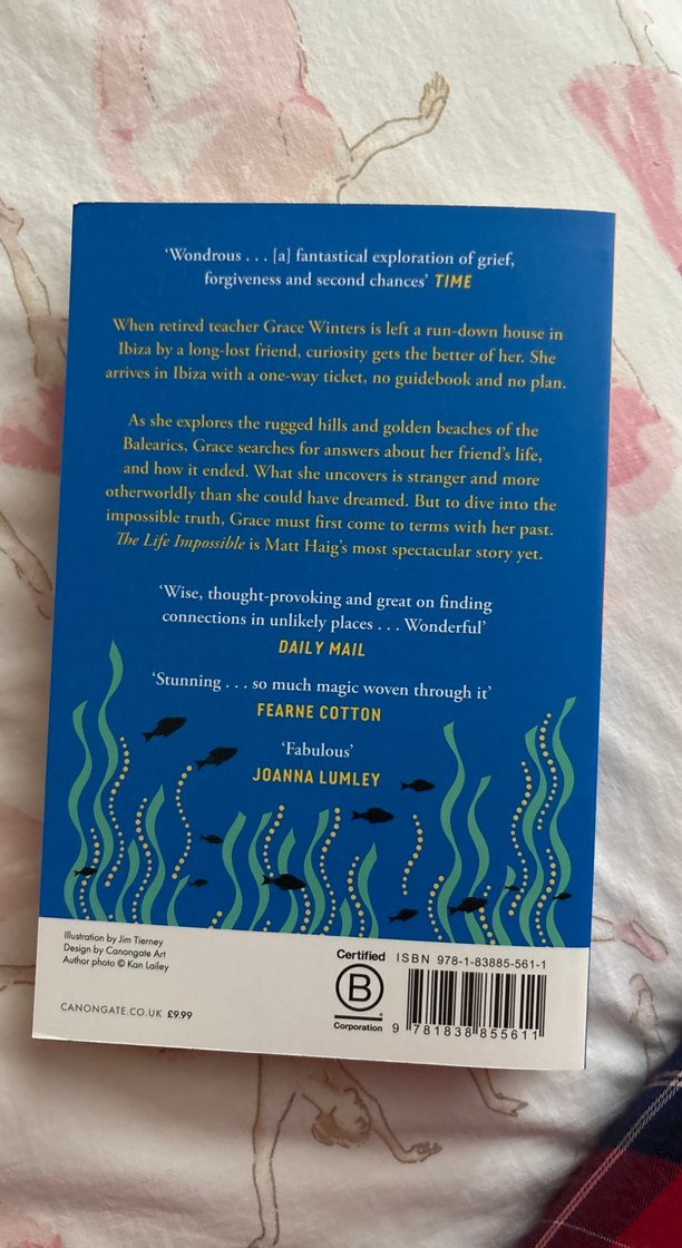 Matt Haig - The Life Impossible İngilizce kitap - Görsel 2