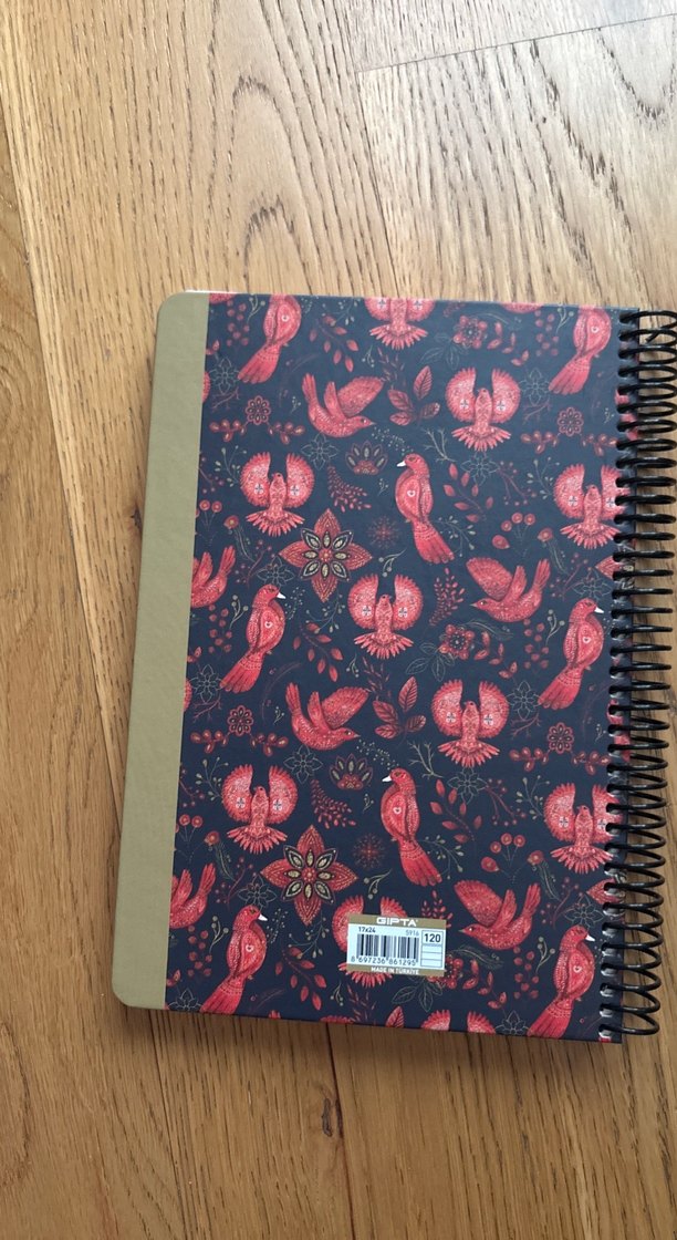 Kırmızı Kuş Desenli Spiralli Defter GİPTA - Görsel 2