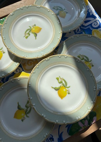 Limon Desenli Porselen Tabak Seti
