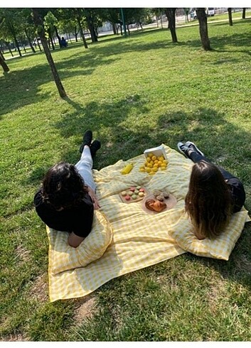 Sarı piknik seti