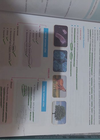 YKS biyoloji - Görsel 2